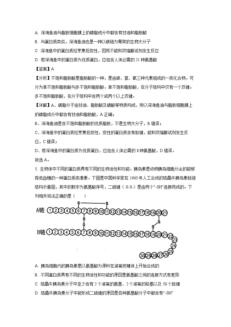 【生物】辽宁省抚顺市六校协作体2024-2025学年高一上学期期末考试试卷（解析版）第3页