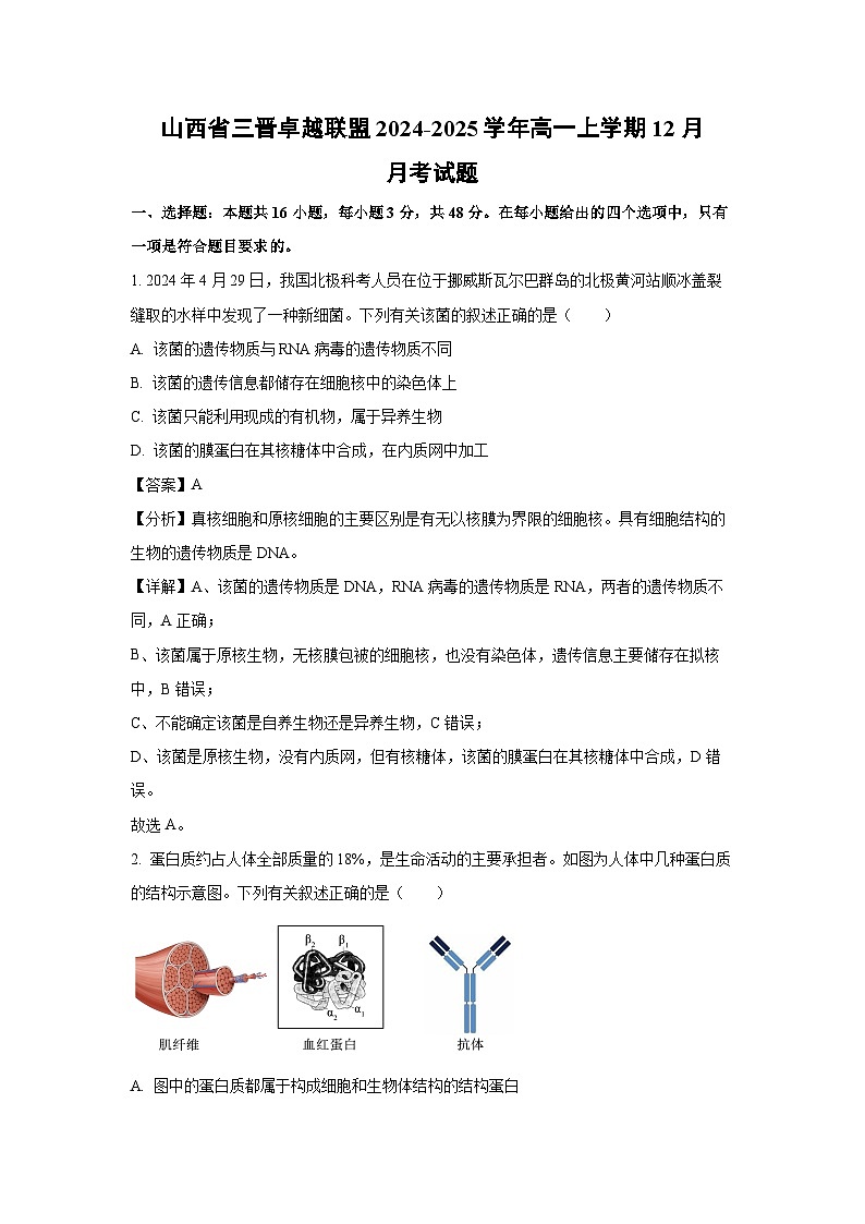 【生物】山西省三晋卓越联盟2024-2025学年高一上学期12月月考试题（解析版）第1页