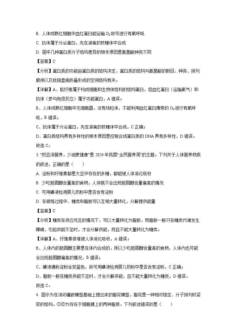 【生物】山西省三晋卓越联盟2024-2025学年高一上学期12月月考试题（解析版）第2页