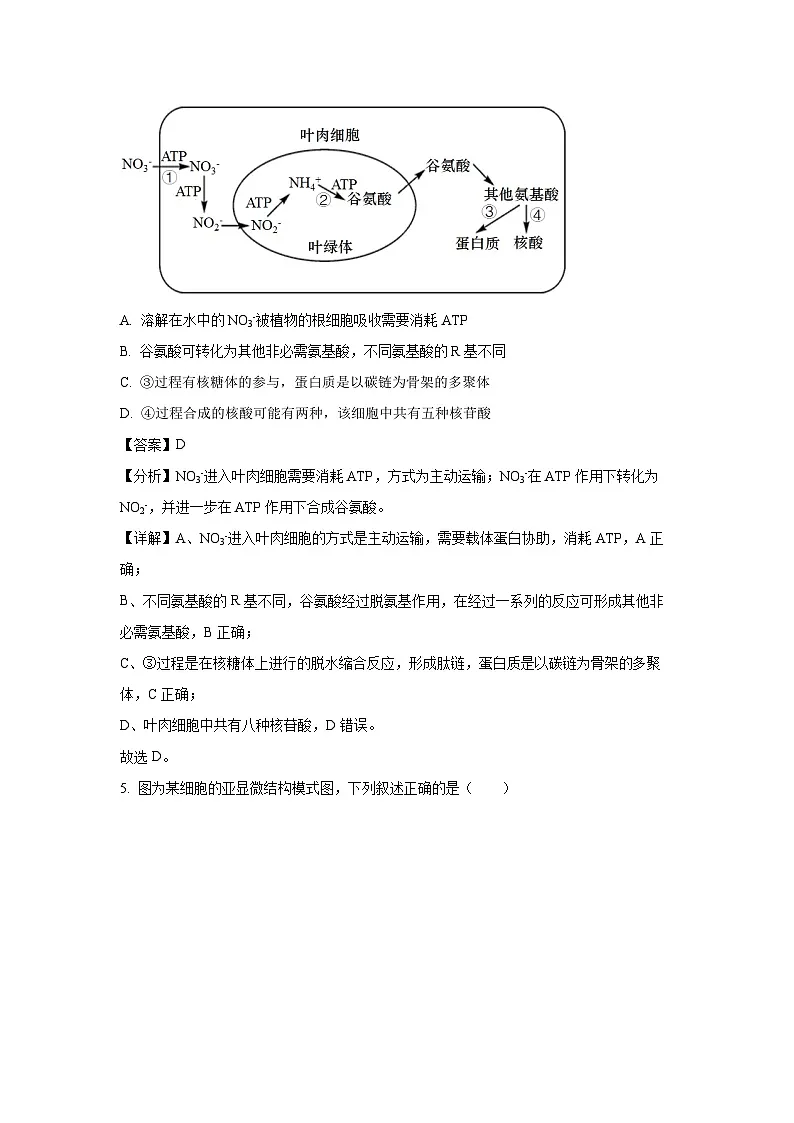 【生物】甘肃省多校2024-2025学年高一上学期12月第二次联考试卷（解析版）第3页