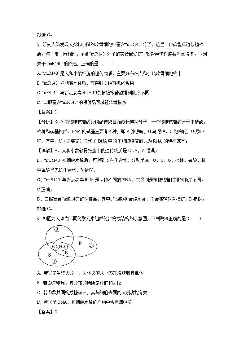 【生物】广东省六校（茂名一中，惠州一中，河源一中等）2024-2025学年高一上学期12月联合考试试题（解析版）第3页