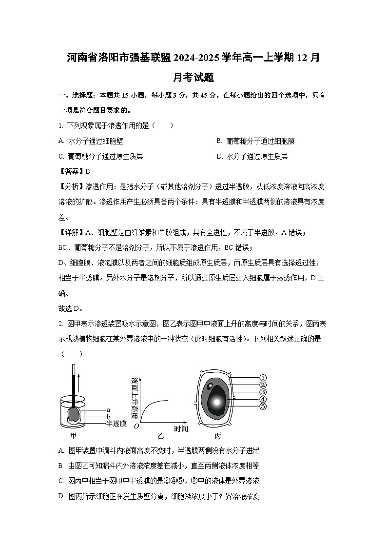 【生物】河南省洛阳市强基联盟2024-2025学年高一上学期12月月考试题（解析版）第1页