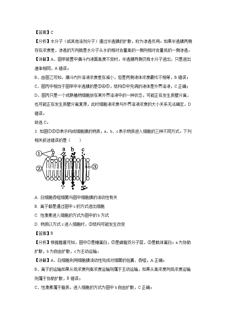 【生物】河南省洛阳市强基联盟2024-2025学年高一上学期12月月考试题（解析版）第2页