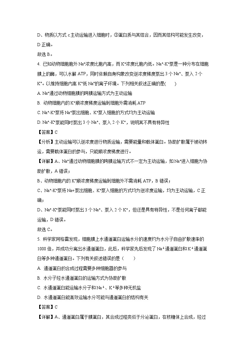 【生物】河南省洛阳市强基联盟2024-2025学年高一上学期12月月考试题（解析版）第3页