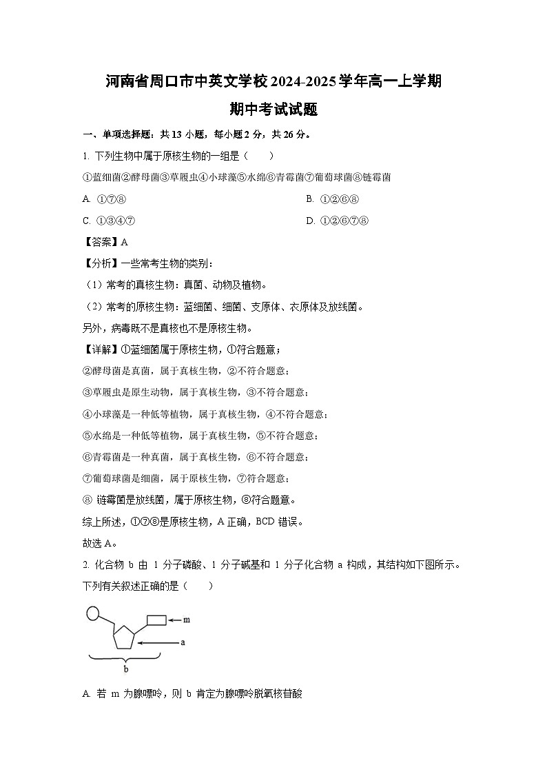 【生物】河南省周口市中英文学校2024-2025学年高一上学期期中考试试题（解析版）第1页