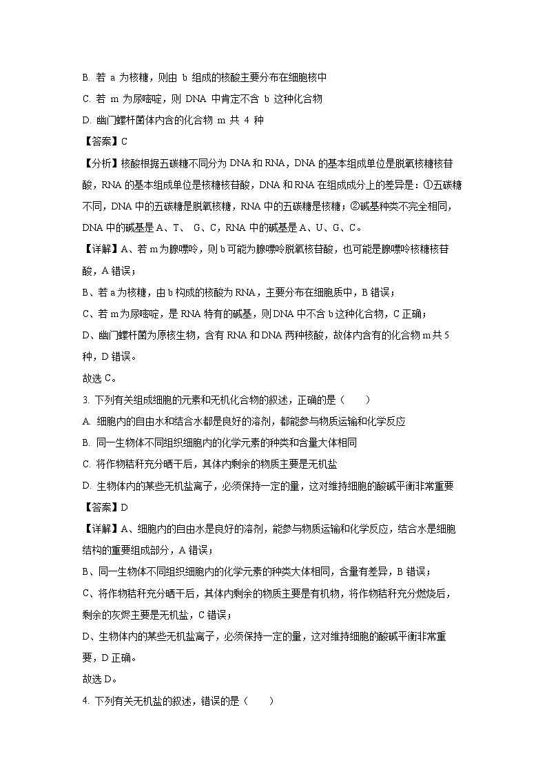 【生物】河南省周口市中英文学校2024-2025学年高一上学期期中考试试题（解析版）第2页