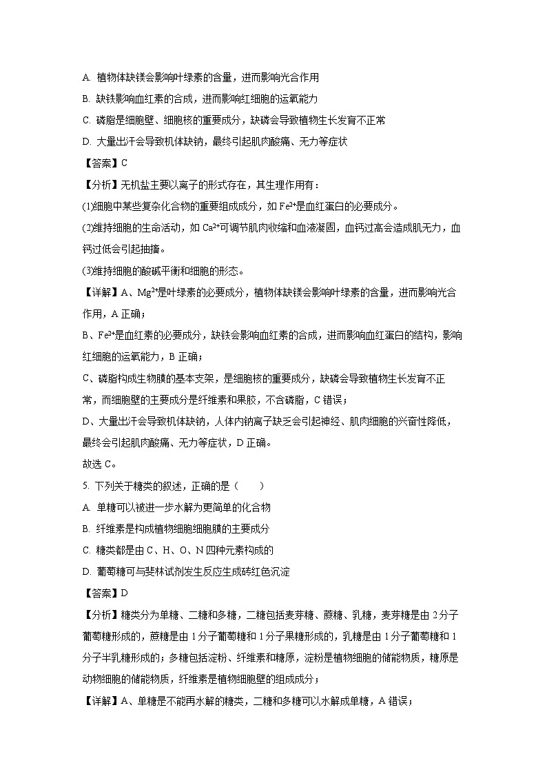 【生物】河南省周口市中英文学校2024-2025学年高一上学期期中考试试题（解析版）第3页