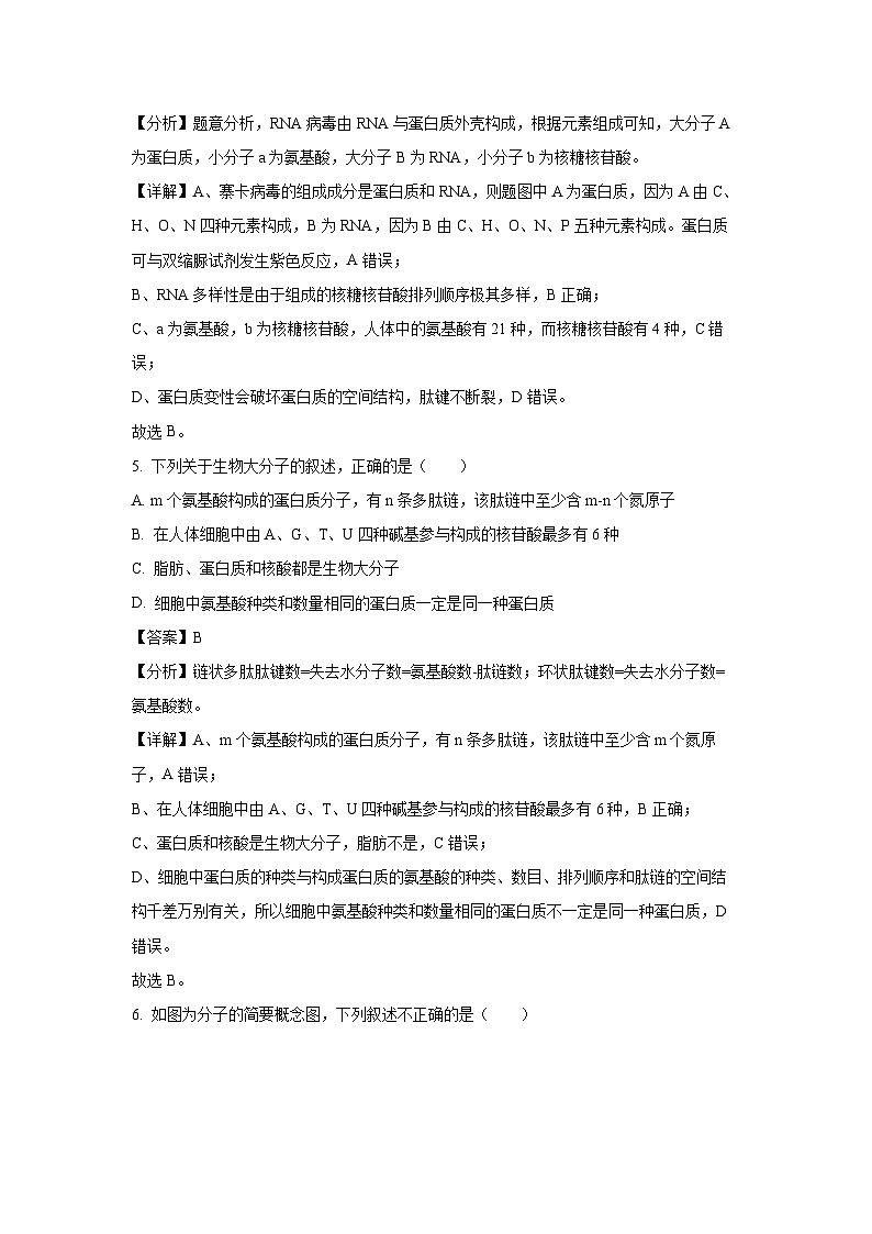 【生物】湖北省新高考联考协作体2024-2025学年高一上学期12月月考试卷（解析版）第3页