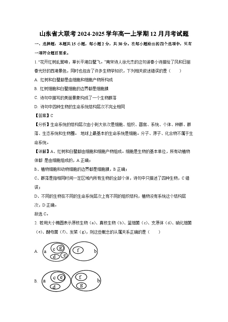 【生物】山东省大联考2024-2025学年高一上学期12月月考试题（解析版）第1页