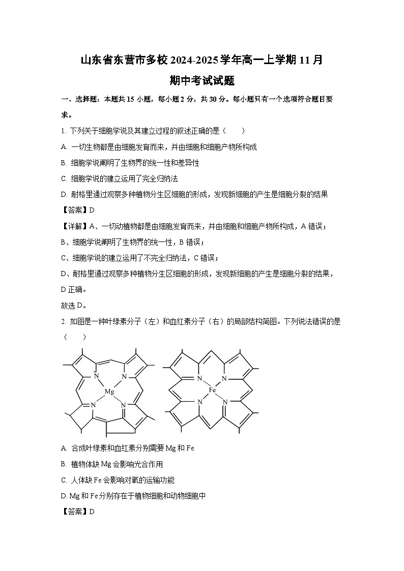 【生物】山东省东营市多校2024-2025学年高一上学期11月期中考试试题（解析版）第1页