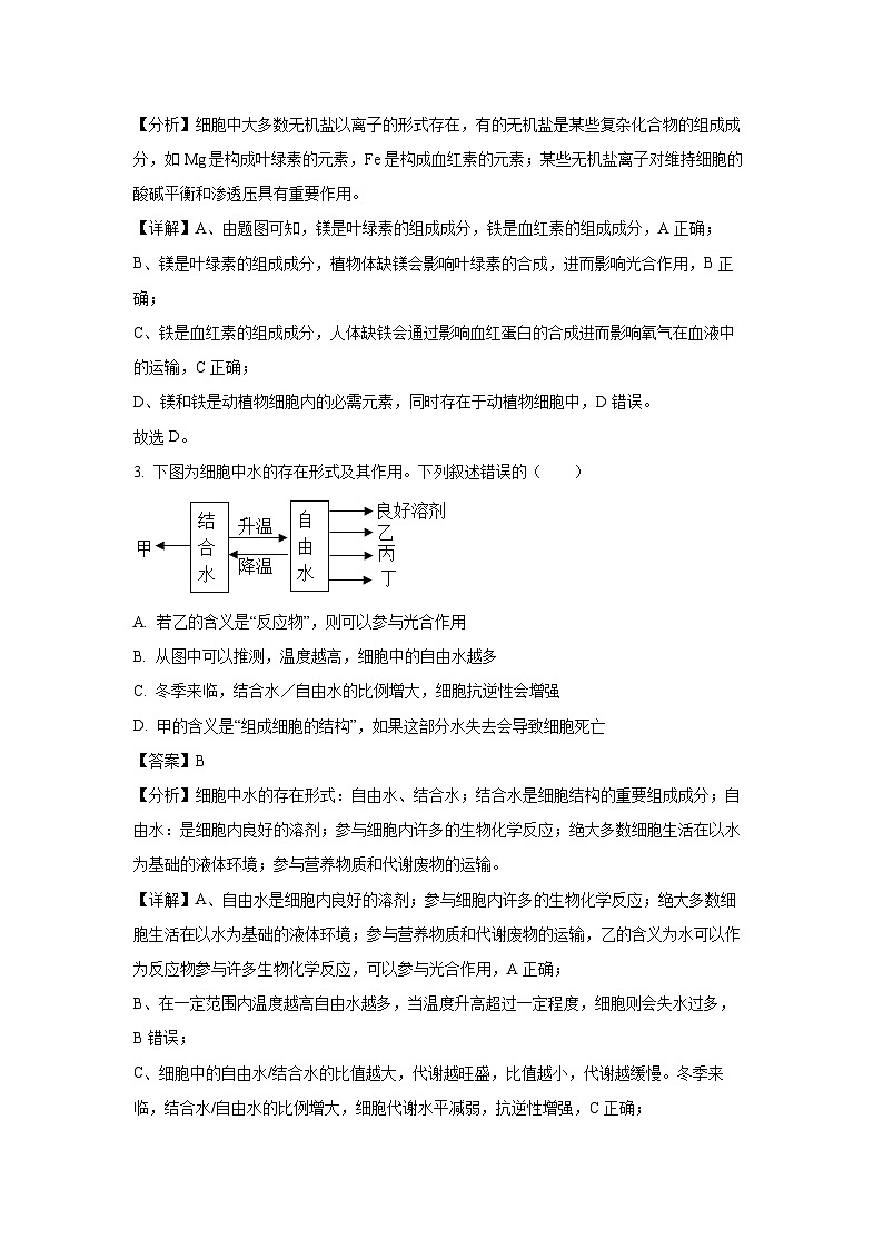 【生物】山东省东营市多校2024-2025学年高一上学期11月期中考试试题（解析版）第2页