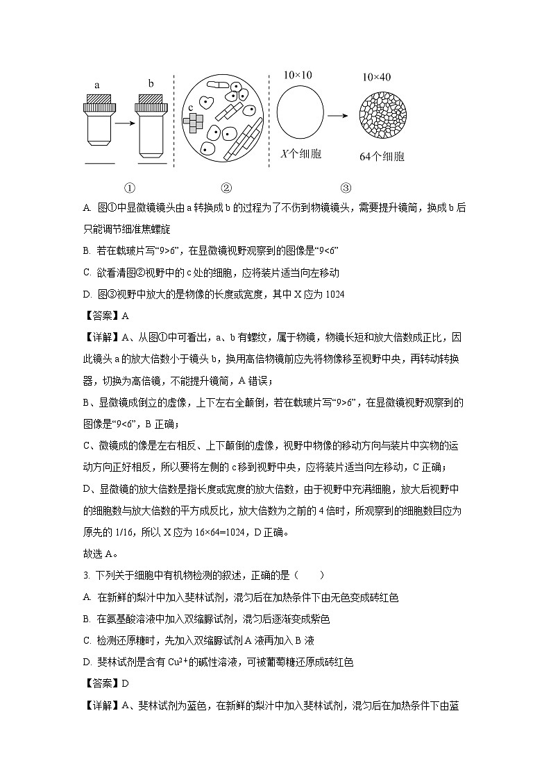 【生物】云南省西双版纳傣族自治州部分高中2024-2025学年高一上学期12月月考试题（解析版）第2页