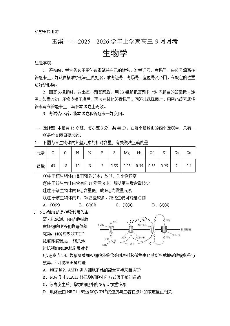 云南省玉溪市红塔区云南省玉溪第一中学2025-2026学年高三上学期9月月考生物试题第1页