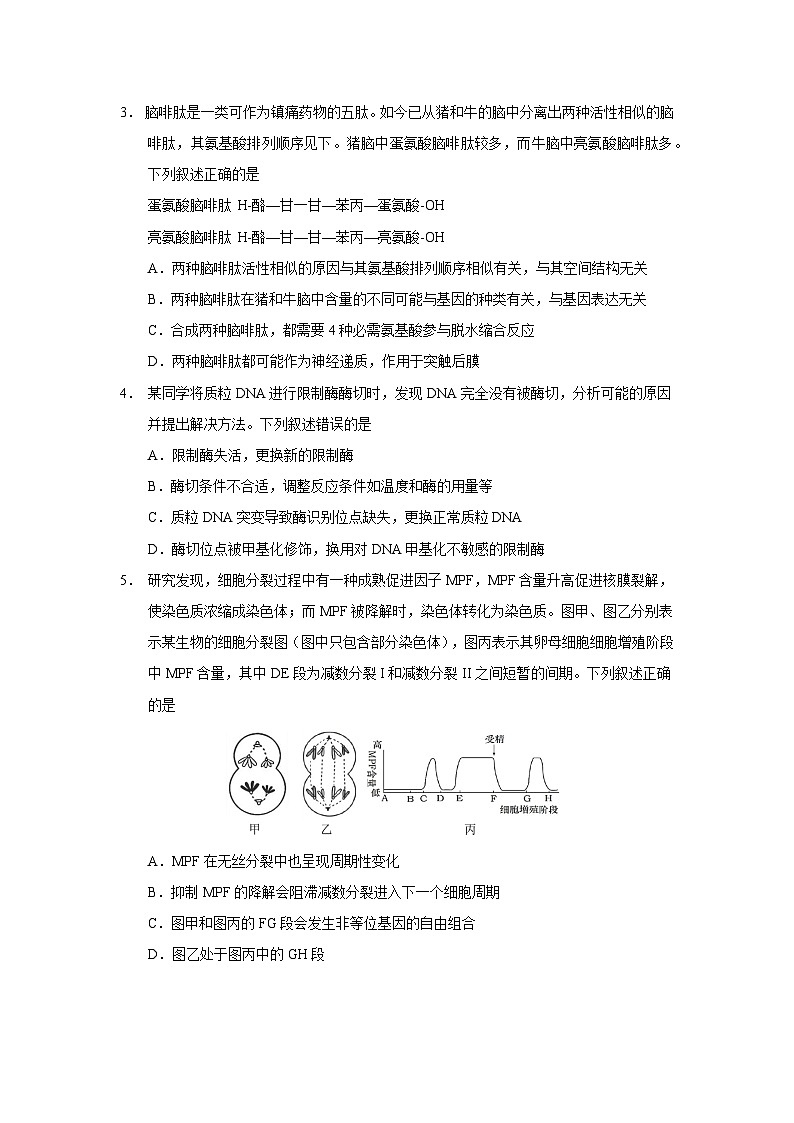 云南省玉溪市红塔区云南省玉溪第一中学2025-2026学年高三上学期9月月考生物试题第2页