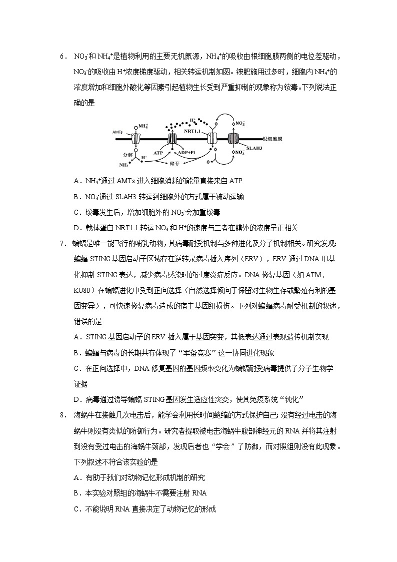 云南省玉溪市红塔区云南省玉溪第一中学2025-2026学年高三上学期9月月考生物试题第3页