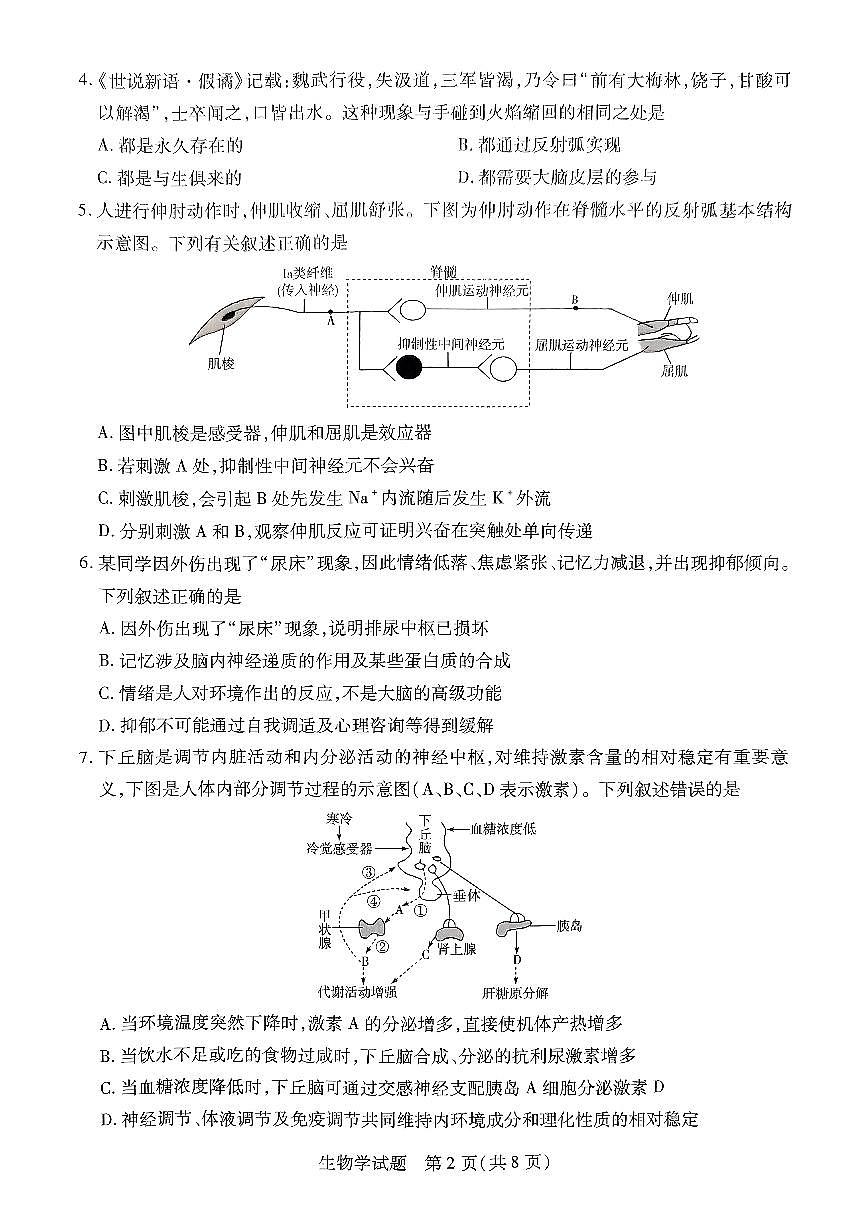 河南省濮阳市2024-2025学年高二上学期11月期中考试生物试题第2页