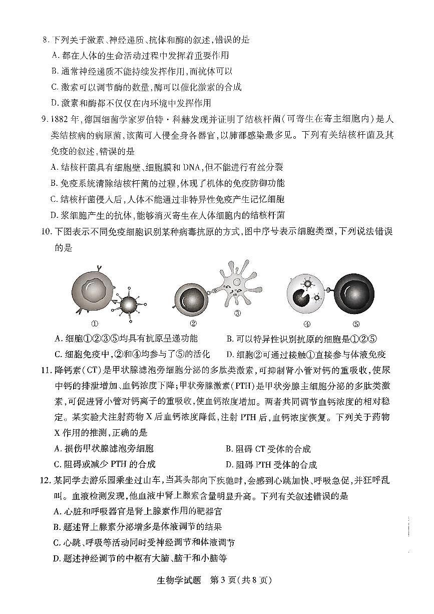 河南省濮阳市2024-2025学年高二上学期11月期中考试生物试题第3页