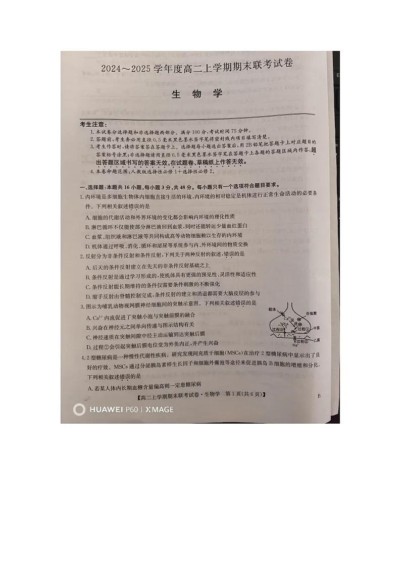 河南省商丘市2024-2025学年高二上学期期末商.师大联考生物试题（B版）第1页