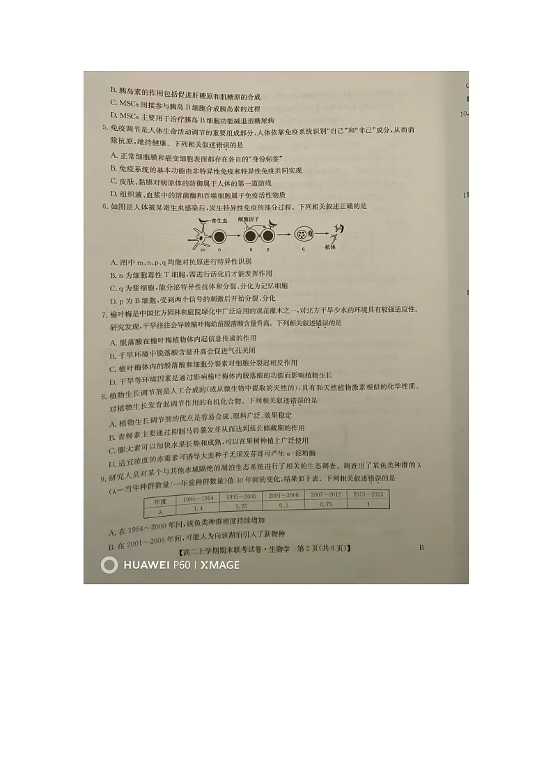 河南省商丘市2024-2025学年高二上学期期末商.师大联考生物试题（B版）第2页