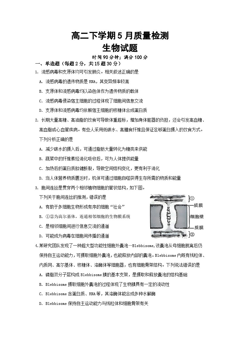 山东省济宁市邹城市第一中学2024-2025学年高二下学期5月月考生物试题（含答案）第1页