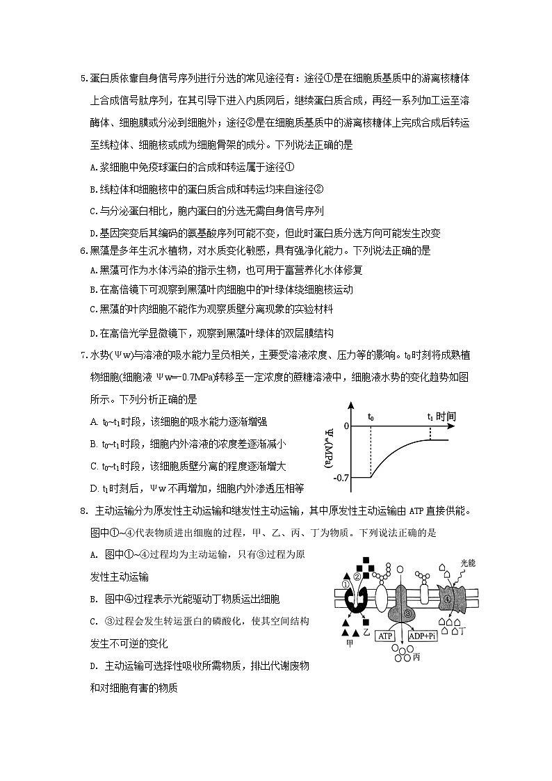 山东省济宁市邹城市第一中学2024-2025学年高二下学期5月月考生物试题（含答案）第2页