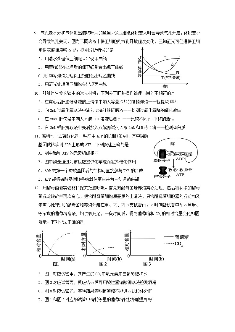 山东省济宁市邹城市第一中学2024-2025学年高二下学期5月月考生物试题（含答案）第3页