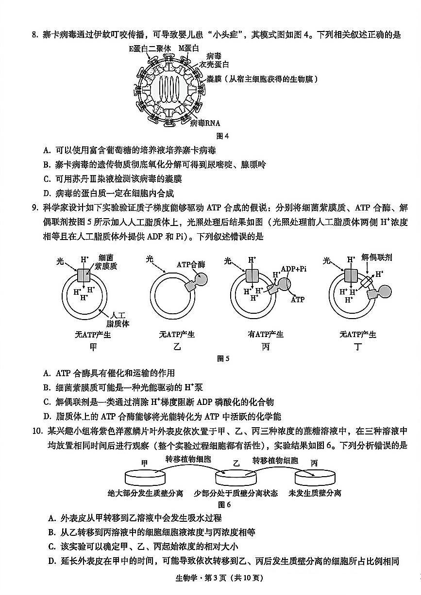 重庆市巴蜀中学2026届高三8月高考适应性月考（一）生物第3页