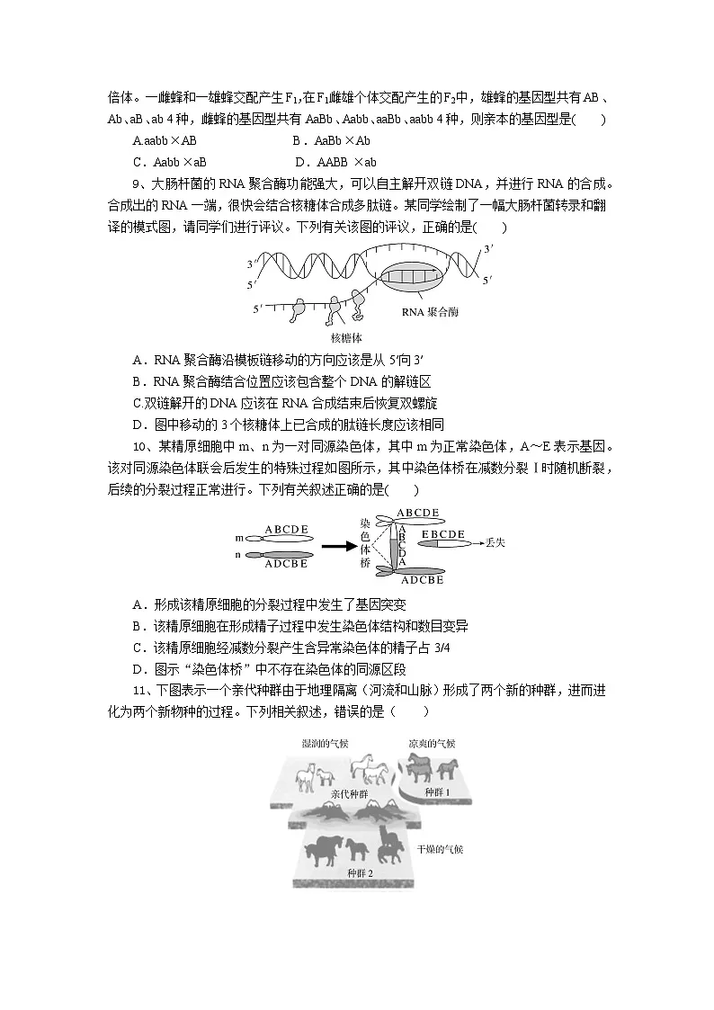 湖北省随州市部分高中联考协作体2024-2025学年高三上学期12月联考生物试题+答案第3页