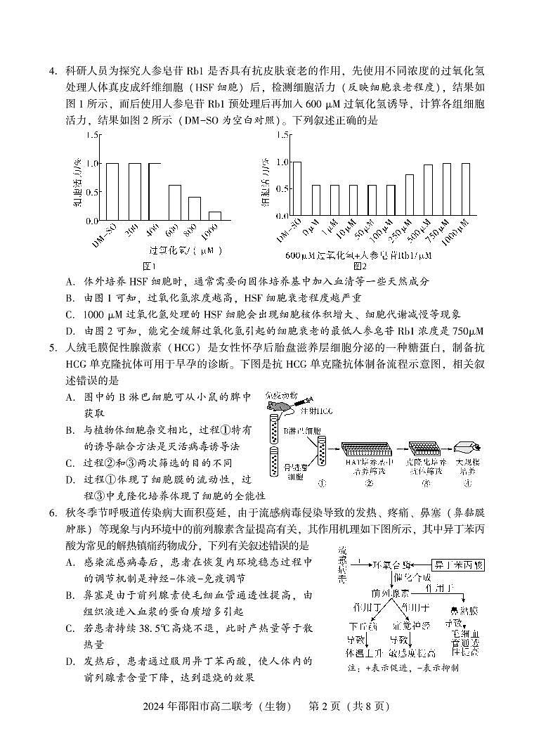 湖南省邵阳市2023-2024学年高二下学期7月期末联考生物试卷+答案第2页
