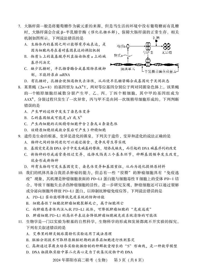 湖南省邵阳市2023-2024学年高二下学期7月期末联考生物试卷+答案第3页