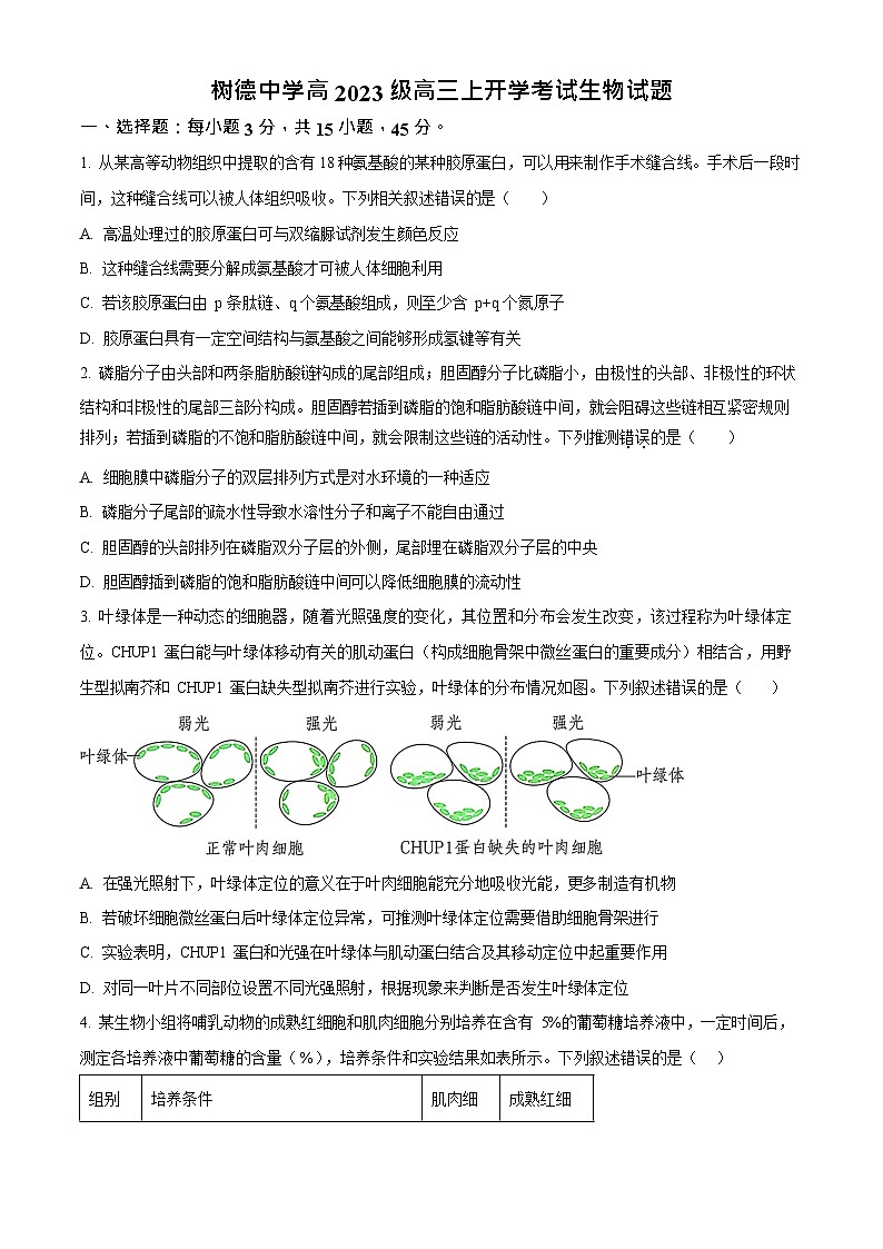 四川省成都市树德中学2025-2026学年高三上学期开学考试生物试卷第1页