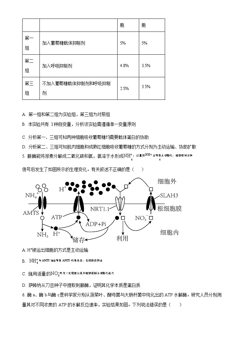 四川省成都市树德中学2025-2026学年高三上学期开学考试生物试卷第2页