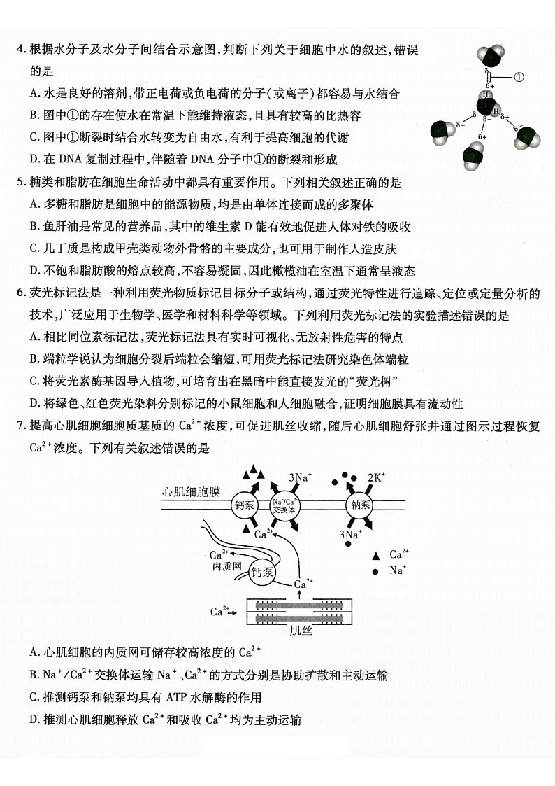重庆市南开中学高2025-2026学年高三上学期开学第一次检测生物试卷第2页