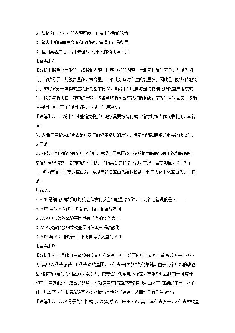 【生物】广西玉林市2024-2025学年高一上学期期末教学质量检测试卷（解析版）第3页