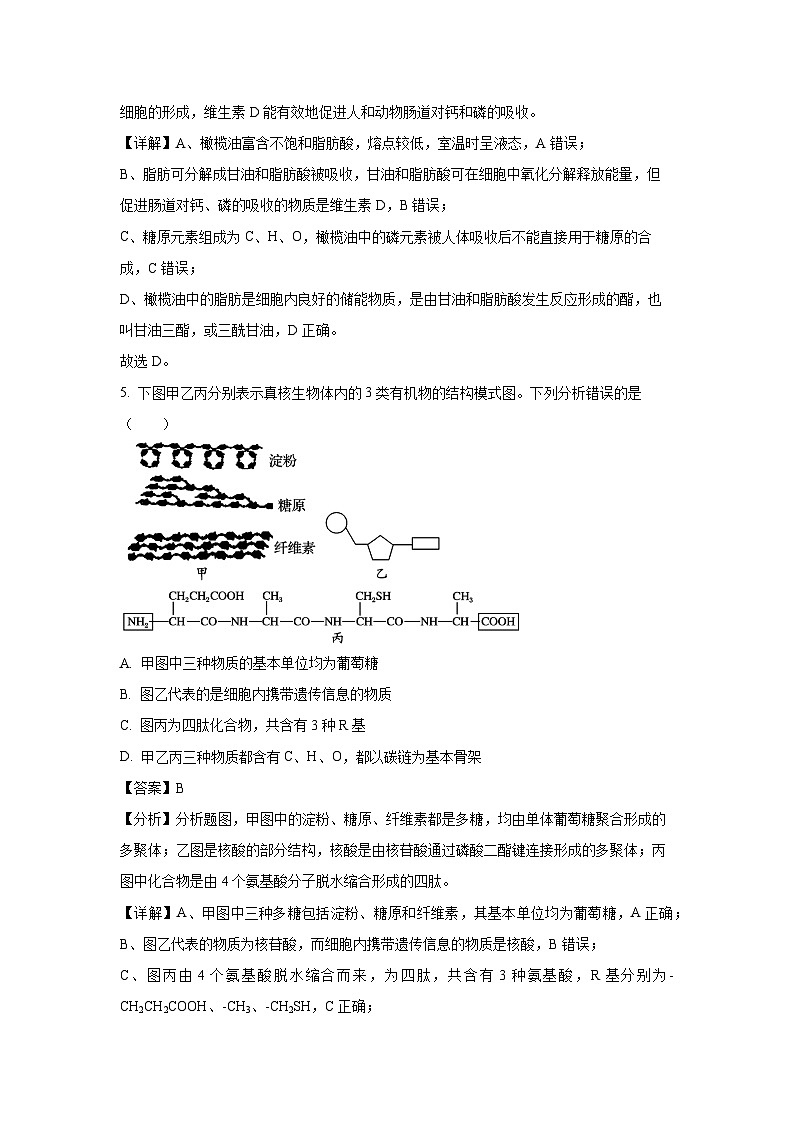 【生物】河北省部分高中2024-2025学年高一上学期1月期末考试试题（解析版）第3页
