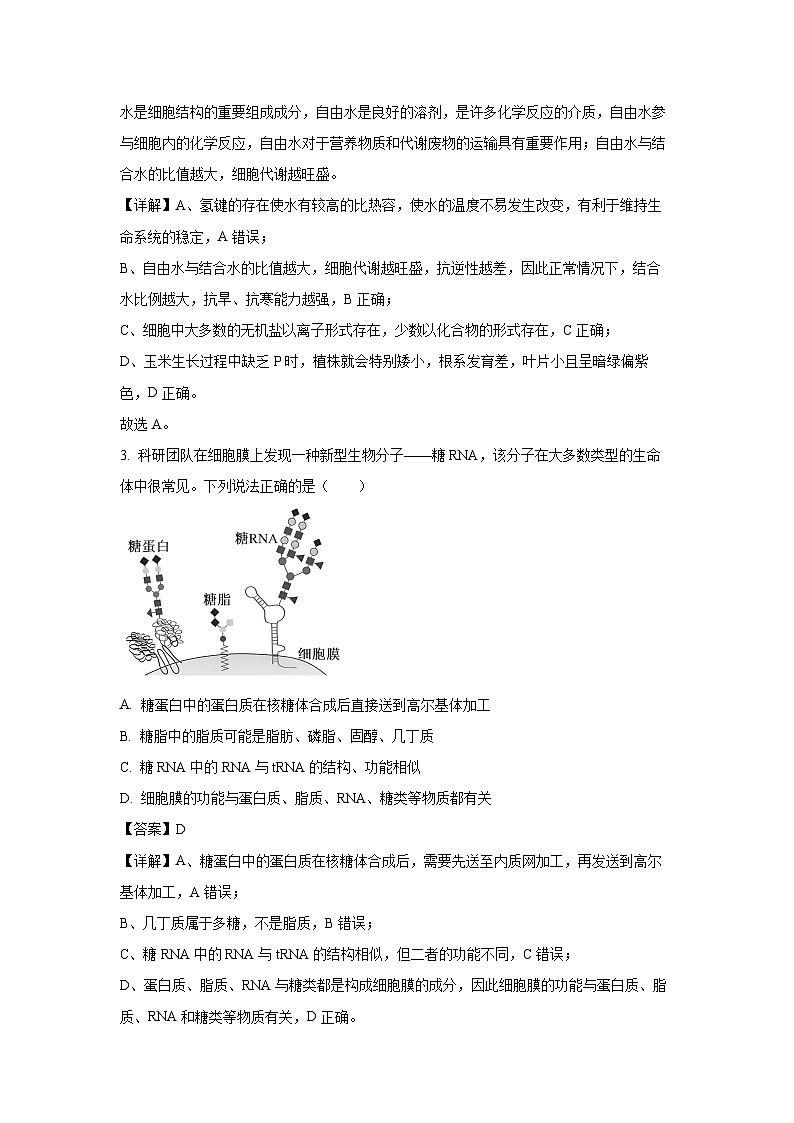 【生物】河北省石家庄市2024-2025学年高一上学期期末试卷（解析版）第2页