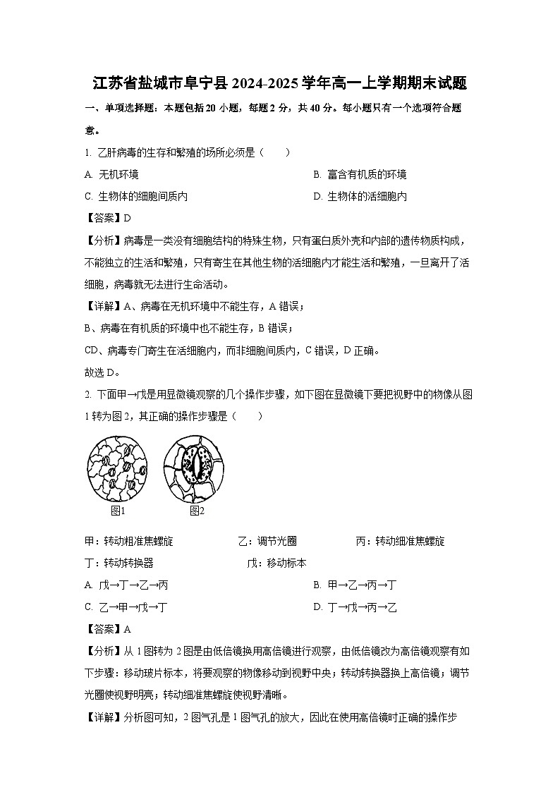 【生物】江苏省盐城市阜宁县2024-2025学年高一上学期期末试题（解析版）第1页