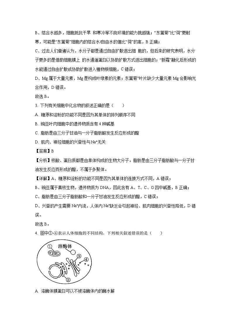 【生物】辽宁省五校联考2024-2025学年高一上学期1月期末试题（解析版）第2页