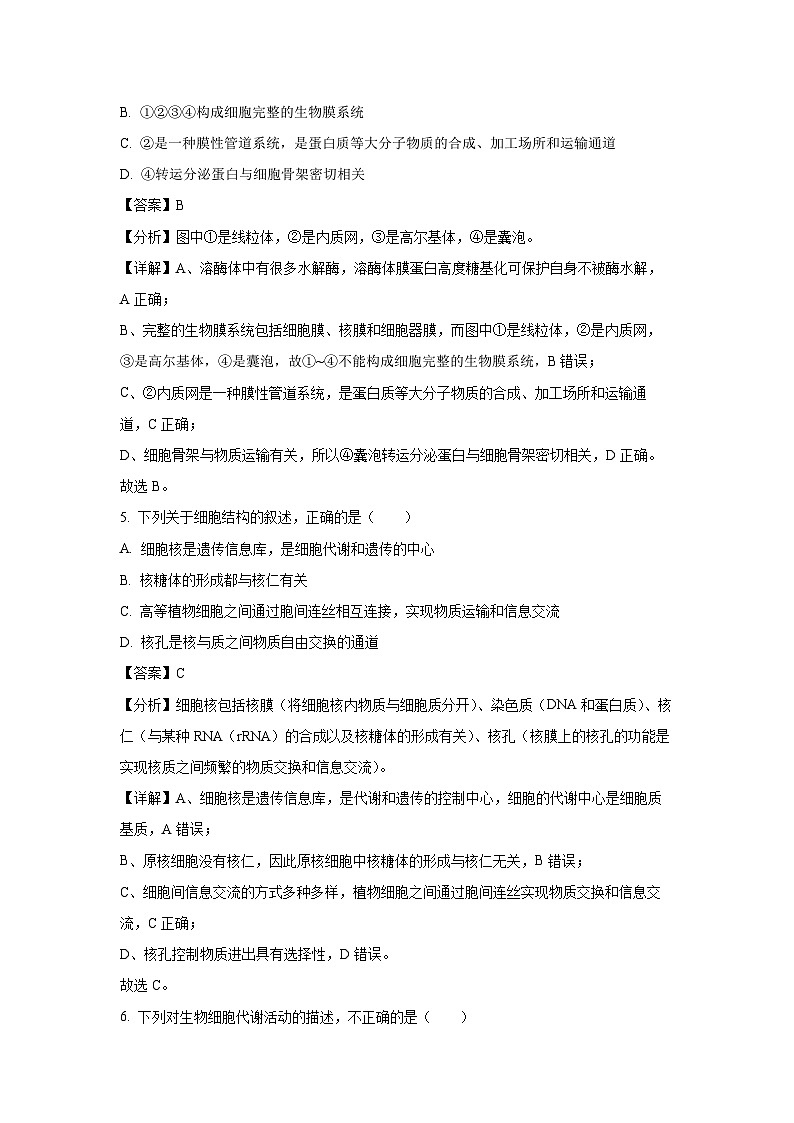 【生物】辽宁省五校联考2024-2025学年高一上学期1月期末试题（解析版）第3页