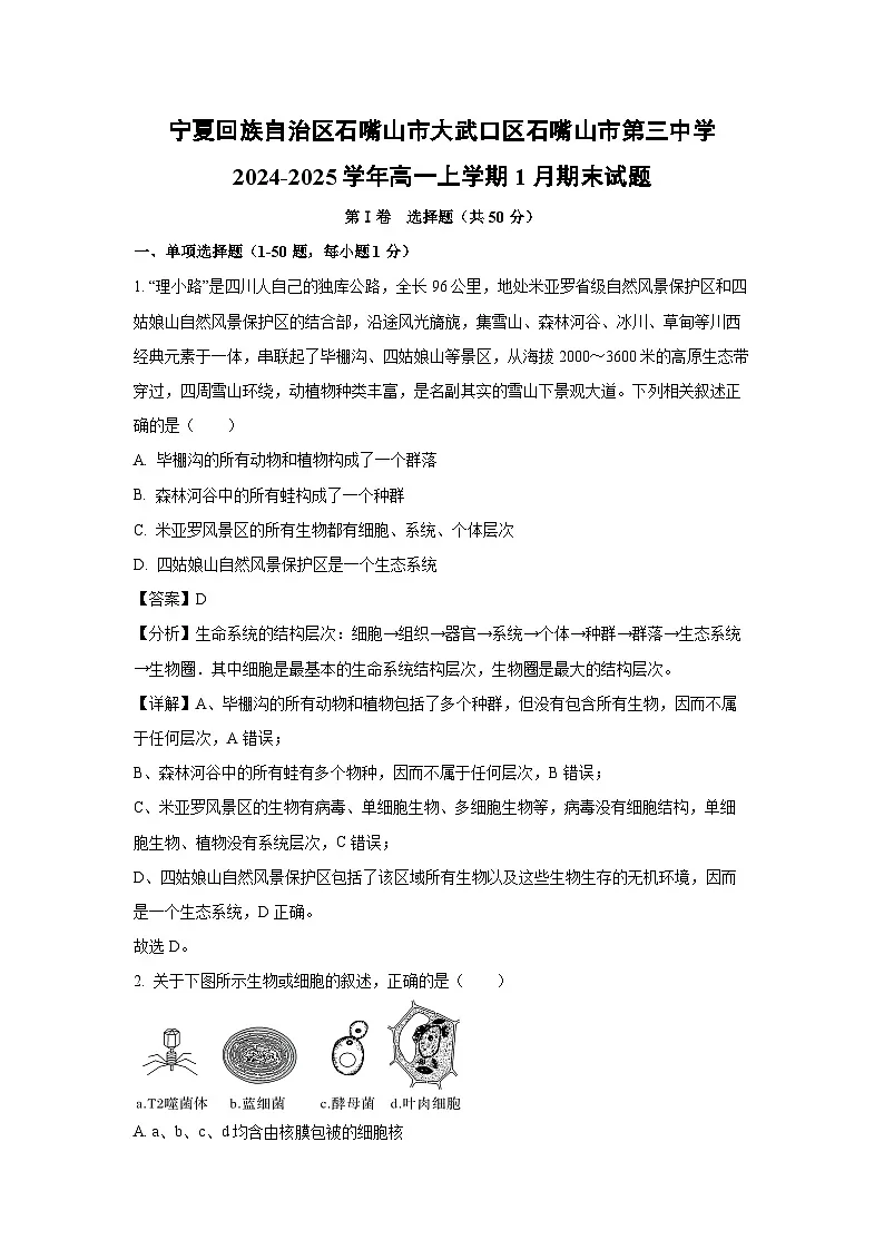【生物】宁夏回族自治区石嘴山市大武口区石嘴山市第三中学2024-2025学年高一上学期1月期末试题（解析版）第1页