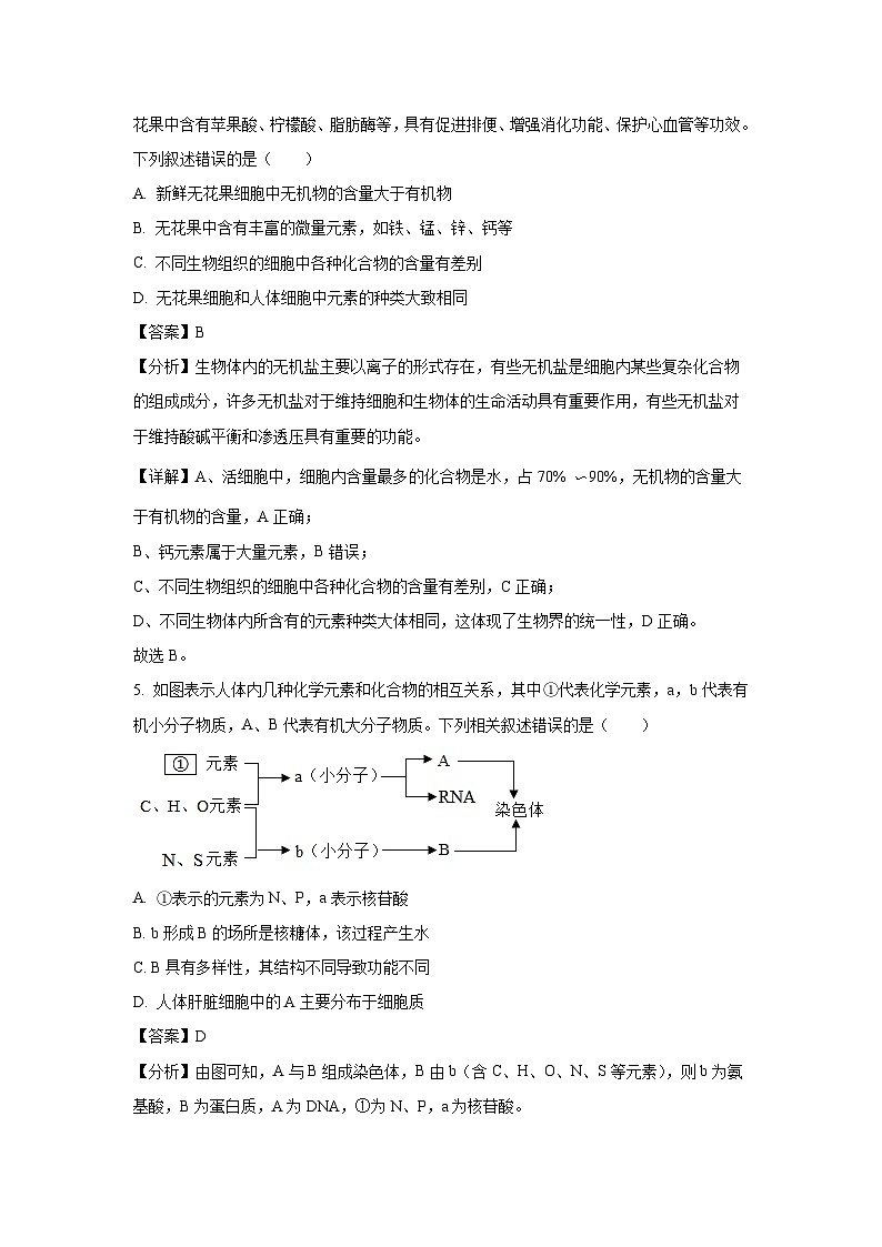 【生物】宁夏吴忠市同心县四校联考2024-2025学年高一上学期期末考试试题（解析版）第3页