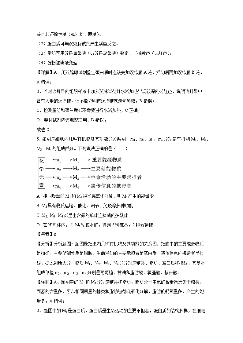 【生物】宁夏吴忠市吴忠中学2024-2025学年高一上学期期末试卷 （解析版）第3页