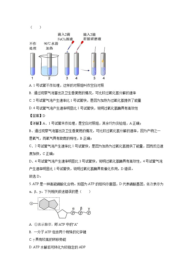 【生物】山西省太原市2024-2025学年高一上学期1月期末试题（解析版）第3页