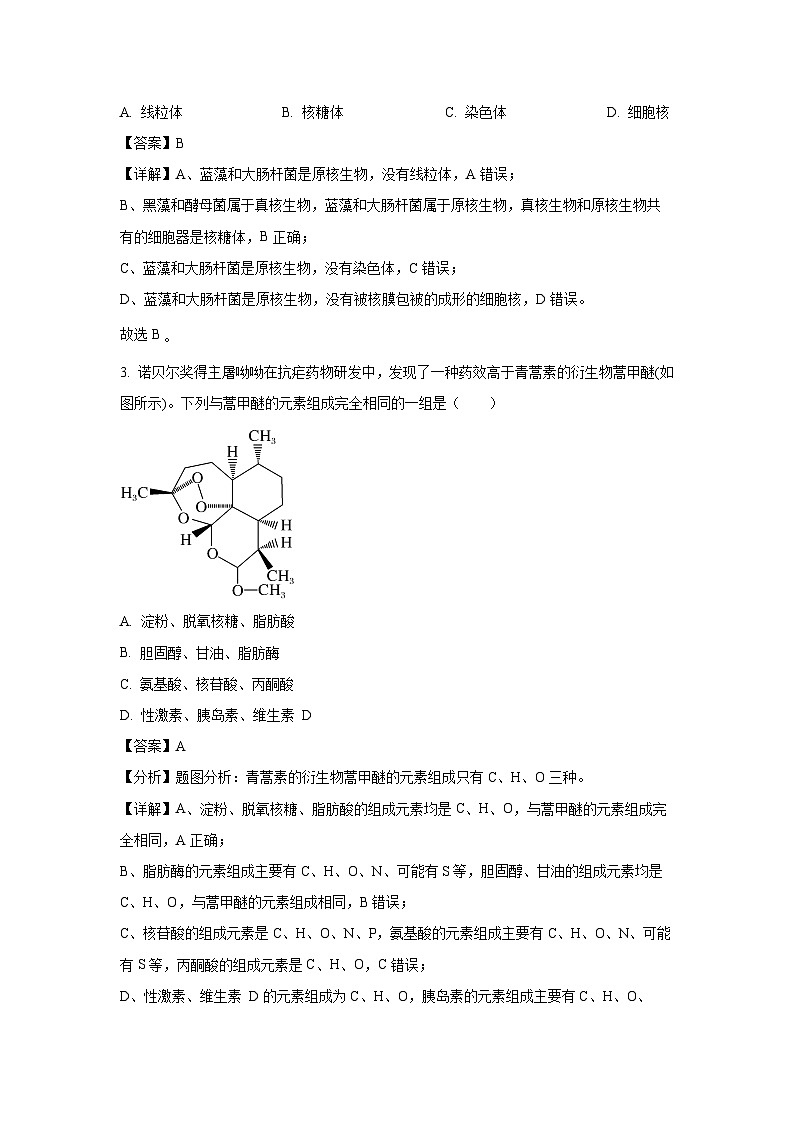 【生物】陕西省汉中市2024-2025学年高一上学期1月期末校际联考试题（解析版）第2页