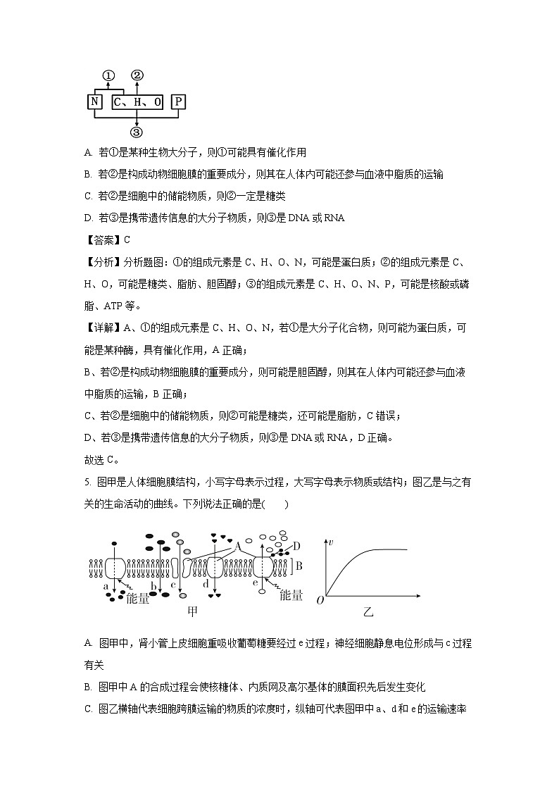 【生物】陕西省西安市部分学校联考2024-2025学年高一上学期1月期末试题（解析版）第3页