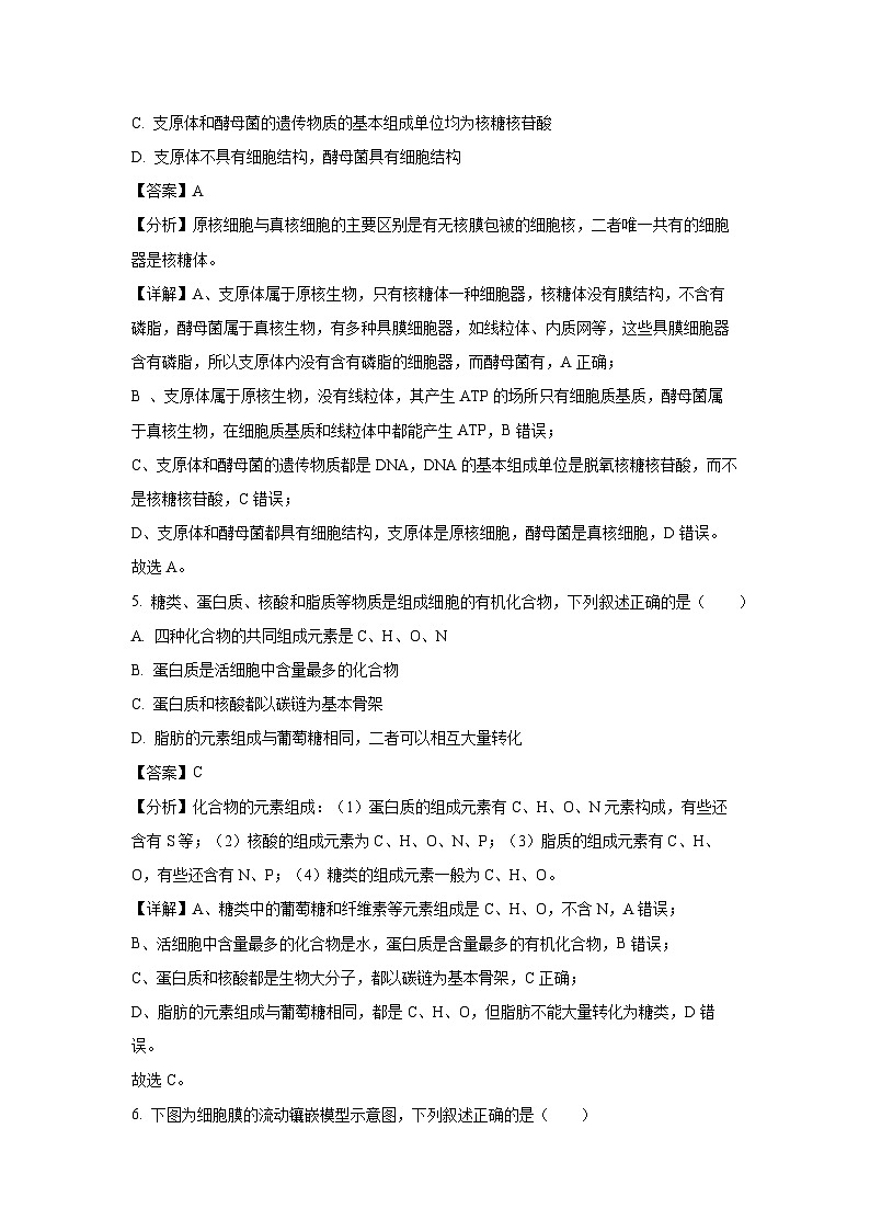 【生物】陕西省西安市西咸新区2024-2025学年高一上学期期末考试试卷（解析版）第3页