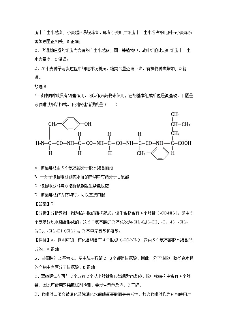 【生物】四川省南充市2024-2025学年高一上学期1月期末检测试题（解析版）第3页