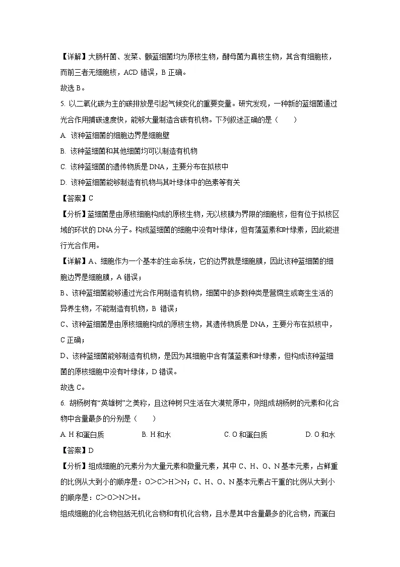 【生物】新疆喀什市2024-2025学年高一上学期期末考试试卷（解析版）第3页