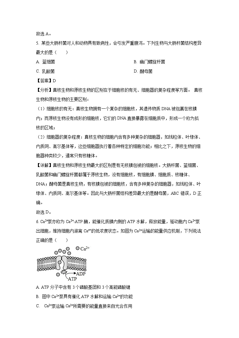 【生物】浙江省衢州市2024-2025学年高一上学期期末教学质量检测试卷（解析版）第3页