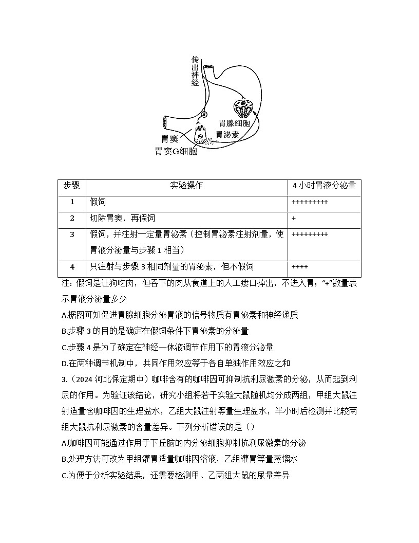 高中生物人教版（2019）选择性必修1 第3章 体液调节检测试卷(及答案)第2页